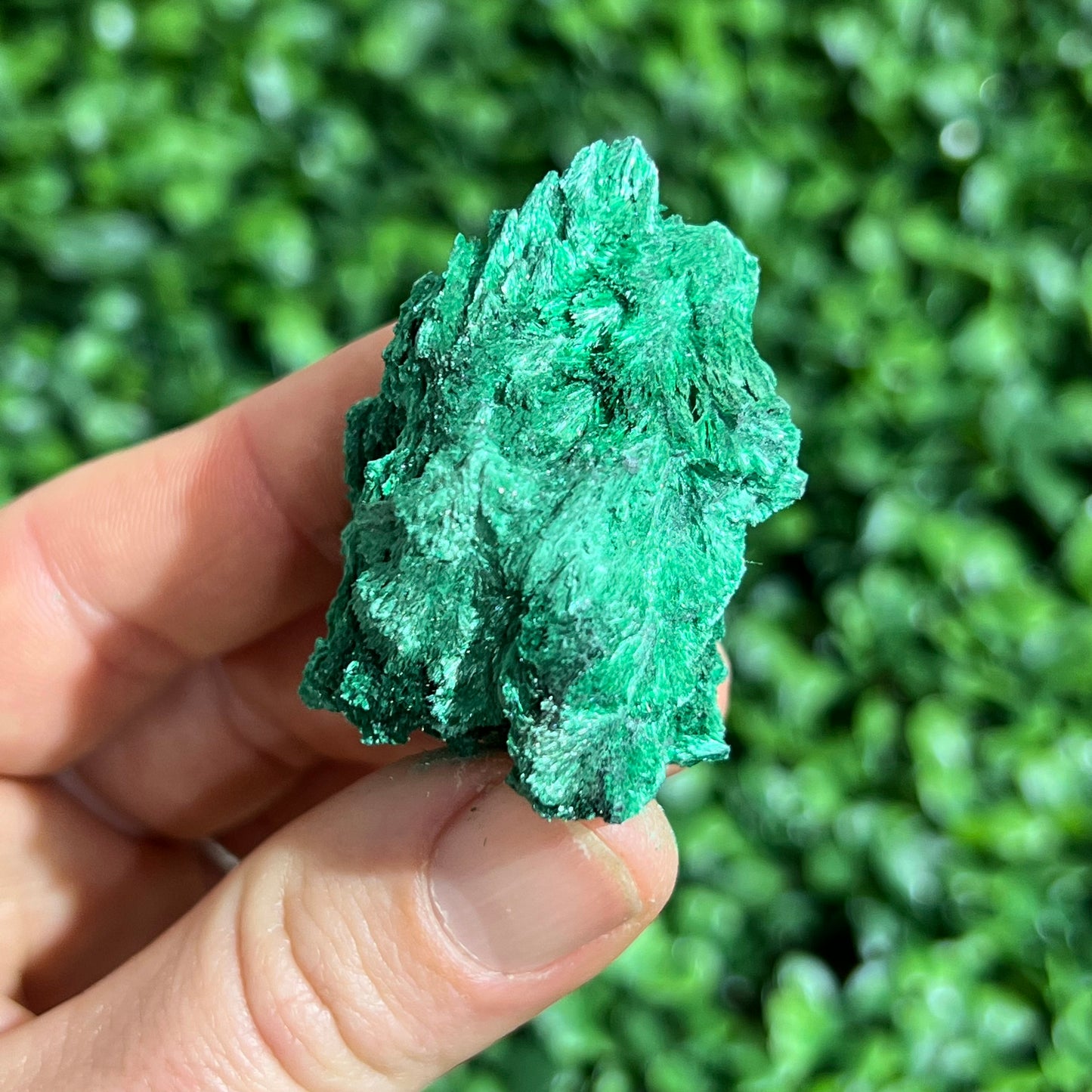 Fibrous Malachite Specimen
