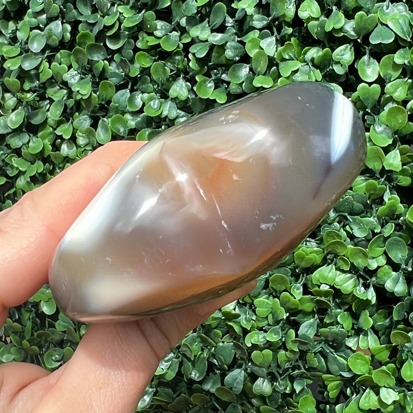 Orca Agate Heart