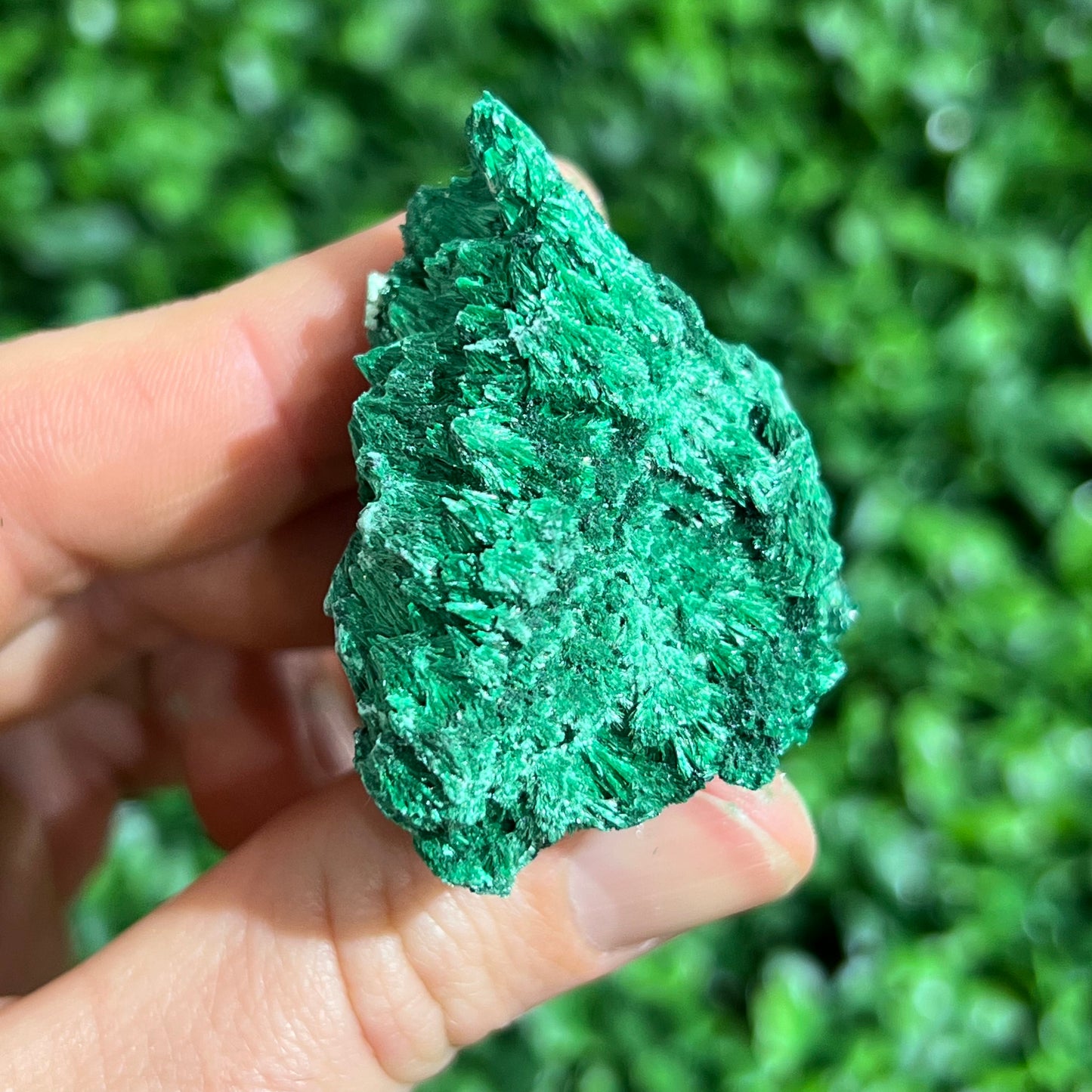 Fibrous Malachite Specimen