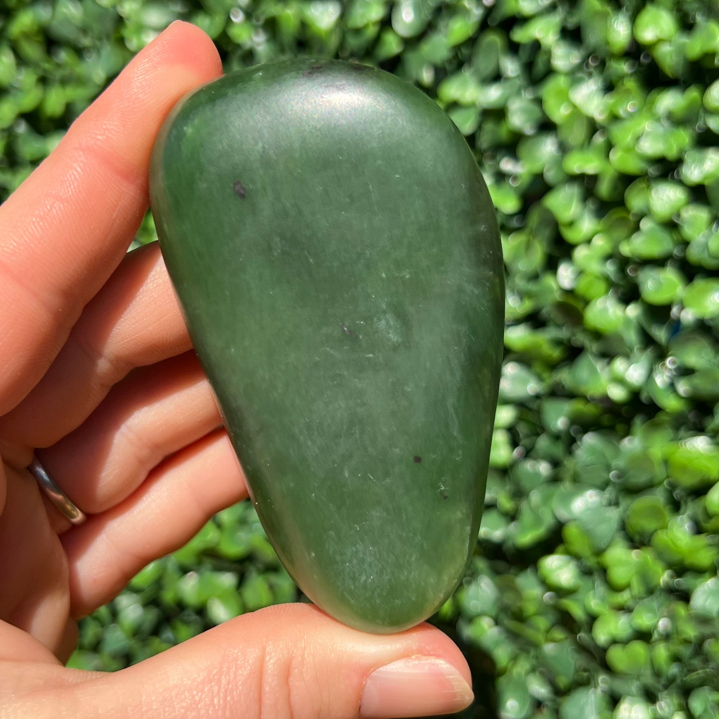 Jade Palm Stone
