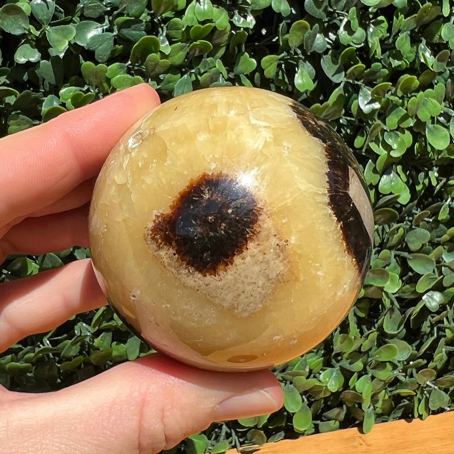 Septarian Yellow Calcite Sphere