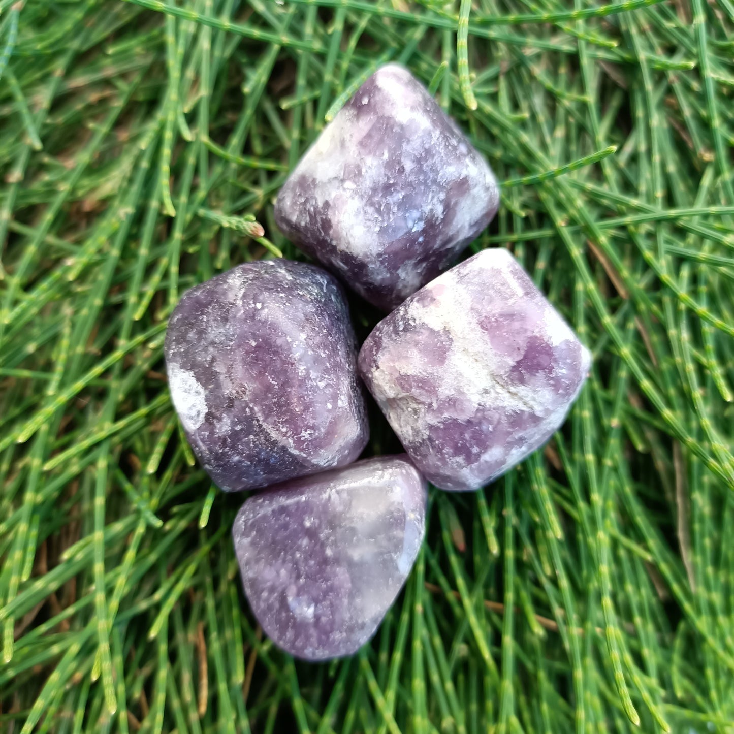 Lepidolite Tumble’s