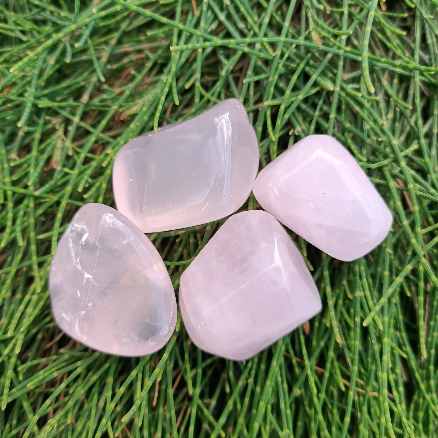 Rose Quartz Tumbles
