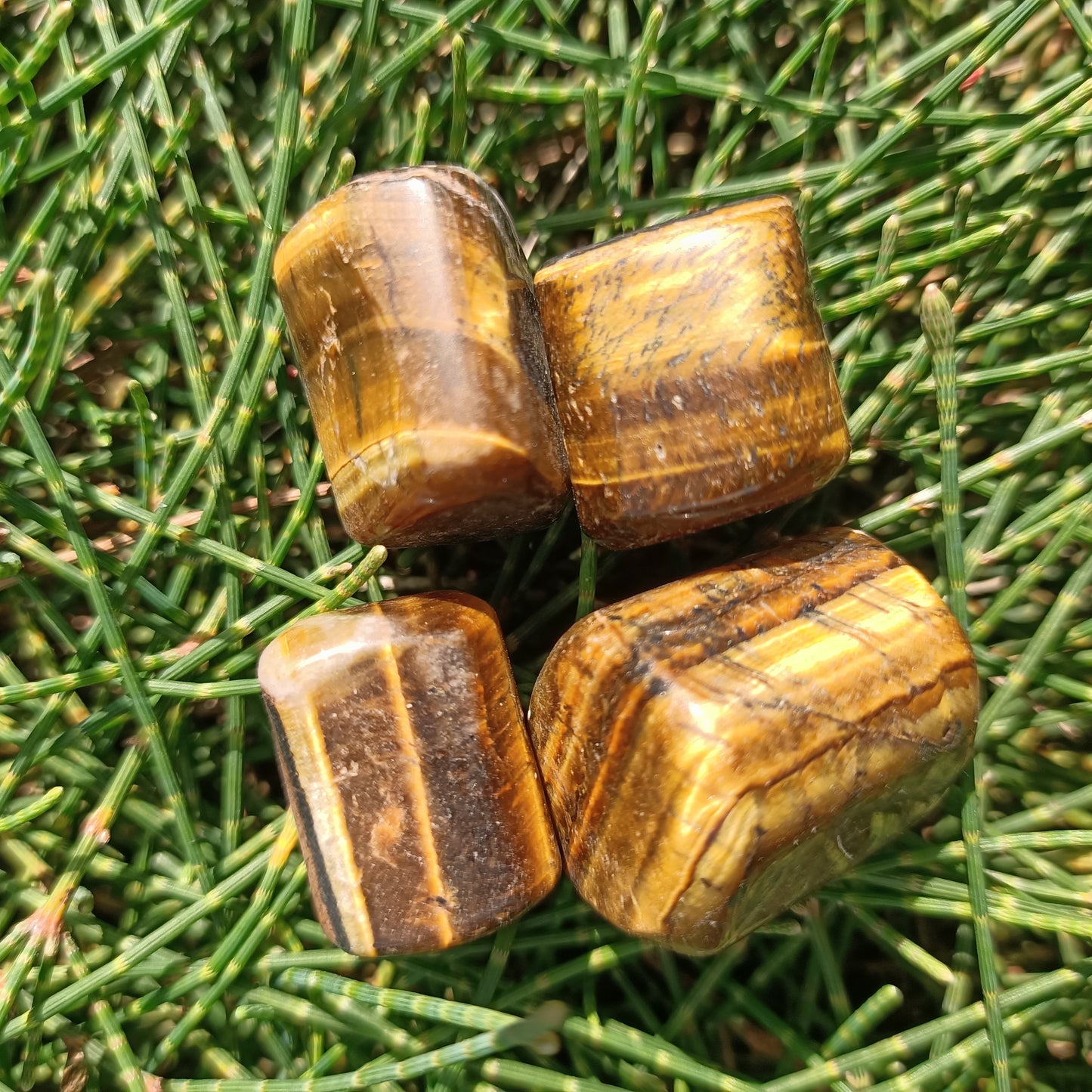 Tiger's Eye Tumble’s