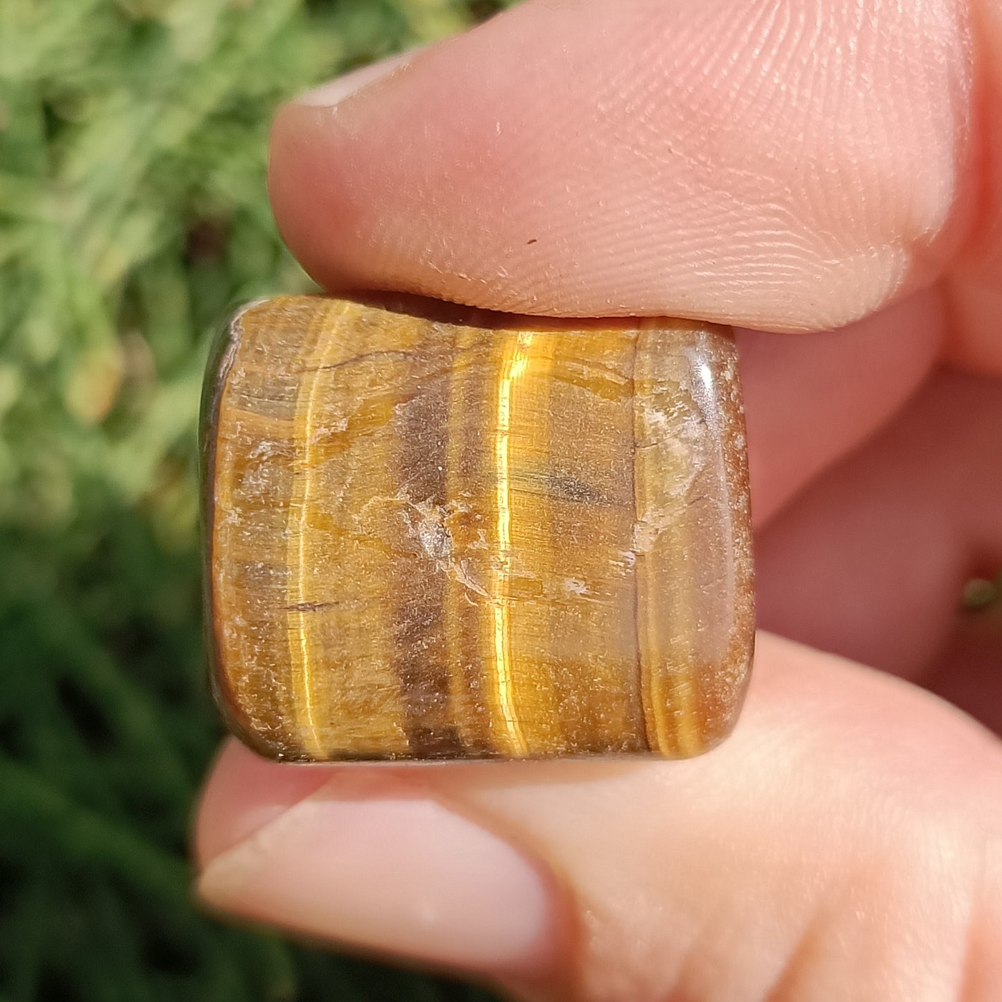 Tiger's Eye Tumble’s
