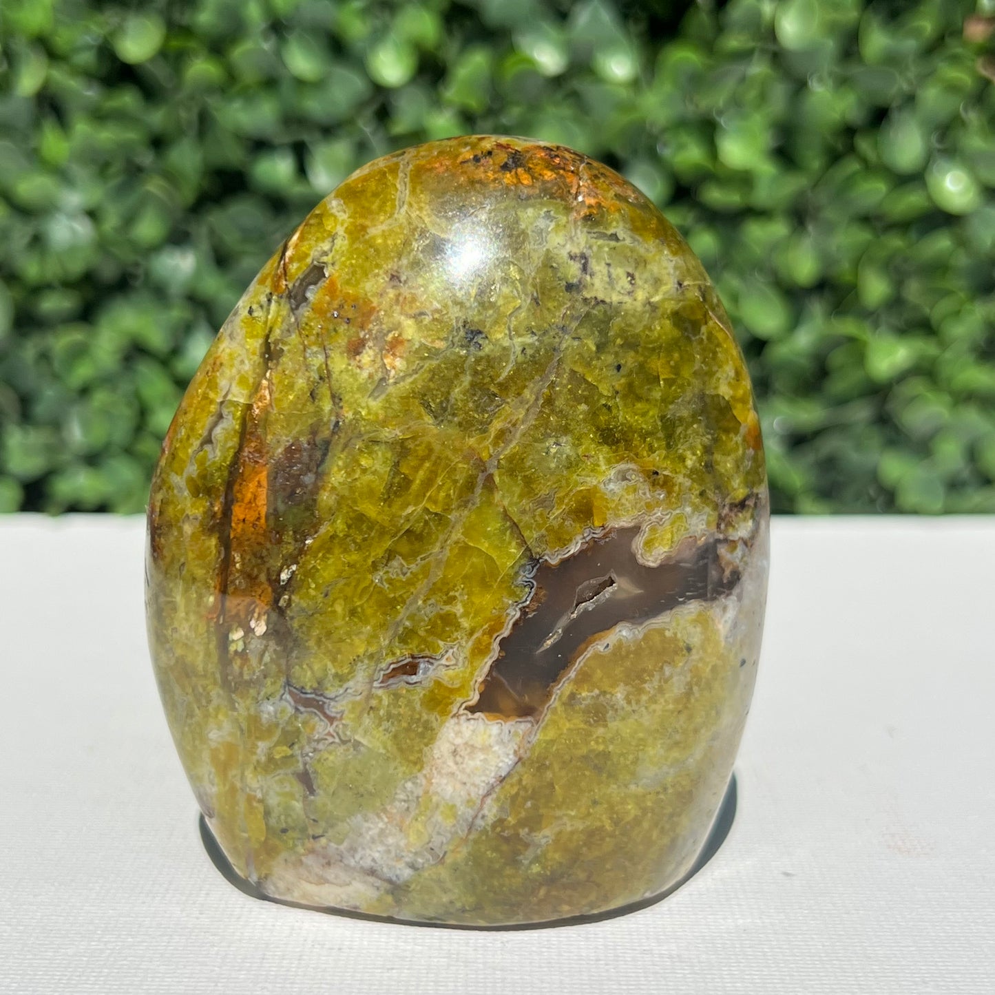 Kiwi Opal Free Form