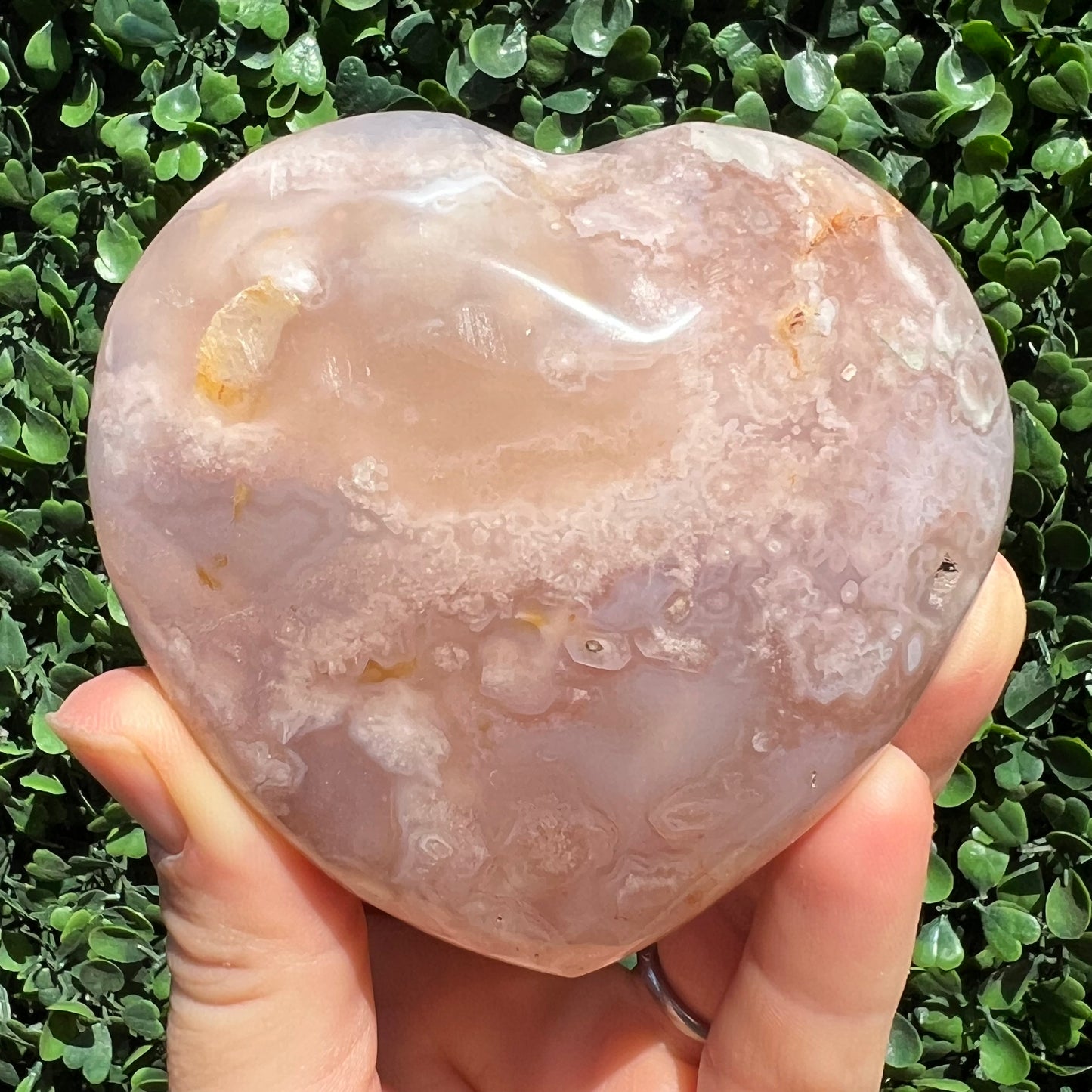 Flower Agate Heart