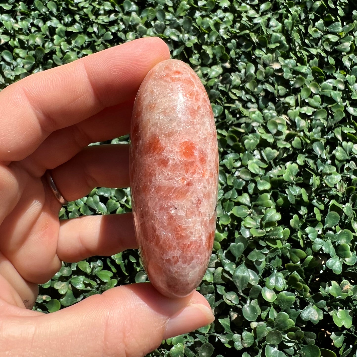 Sunstone Palm Stone