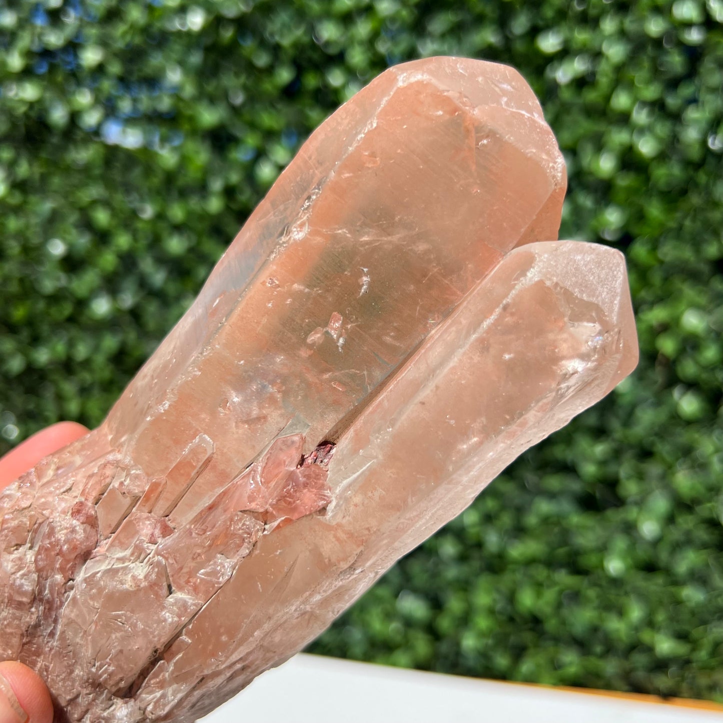 Lemurian Seed Crystal