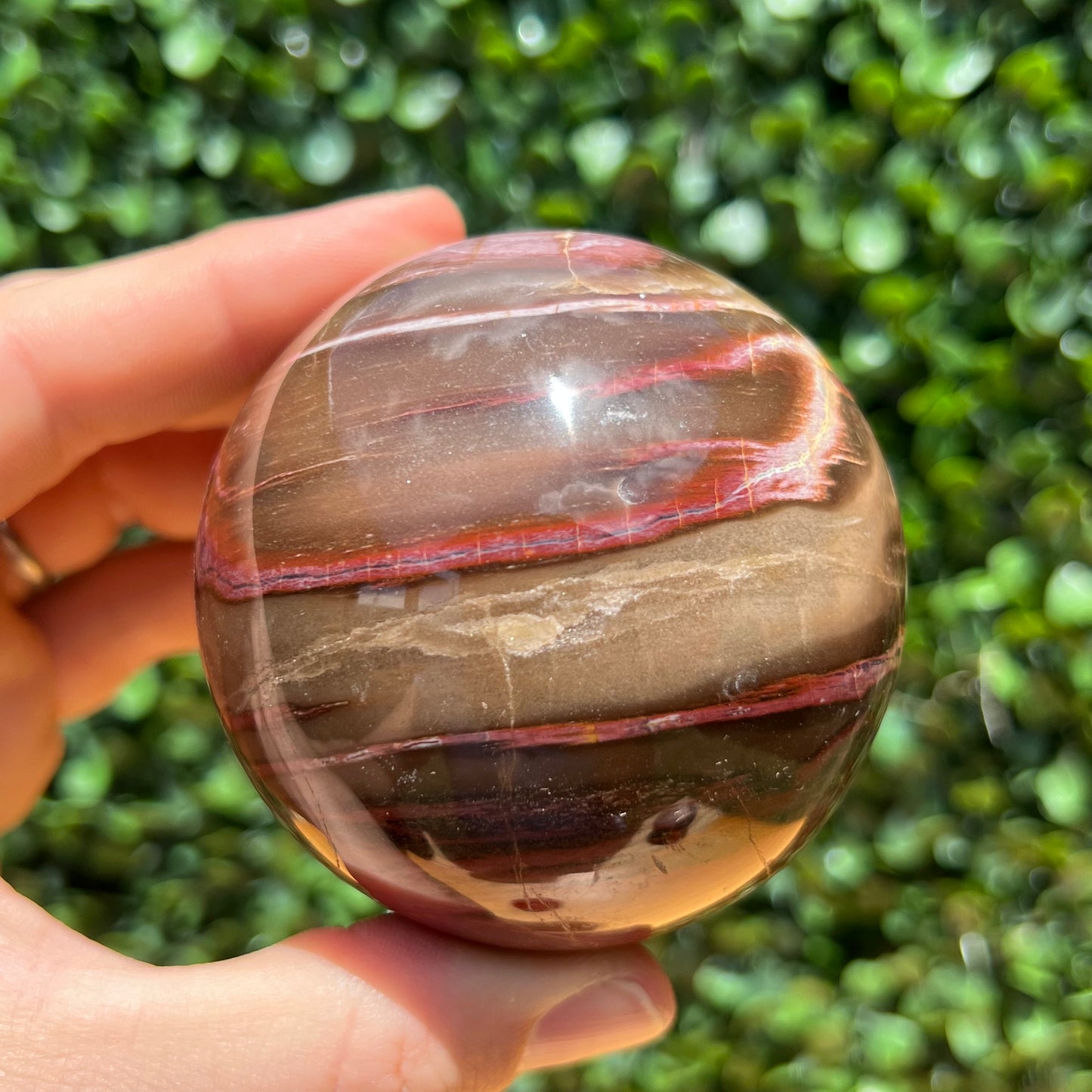 Petrified Wood Sphere