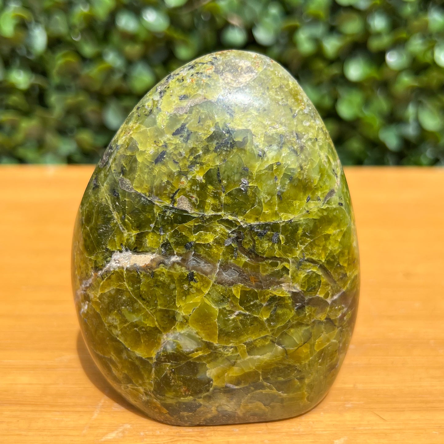 Kiwi Opal Free Form