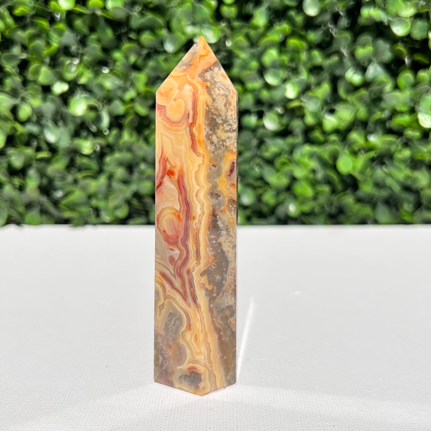 Crazy Lace Agate Point
