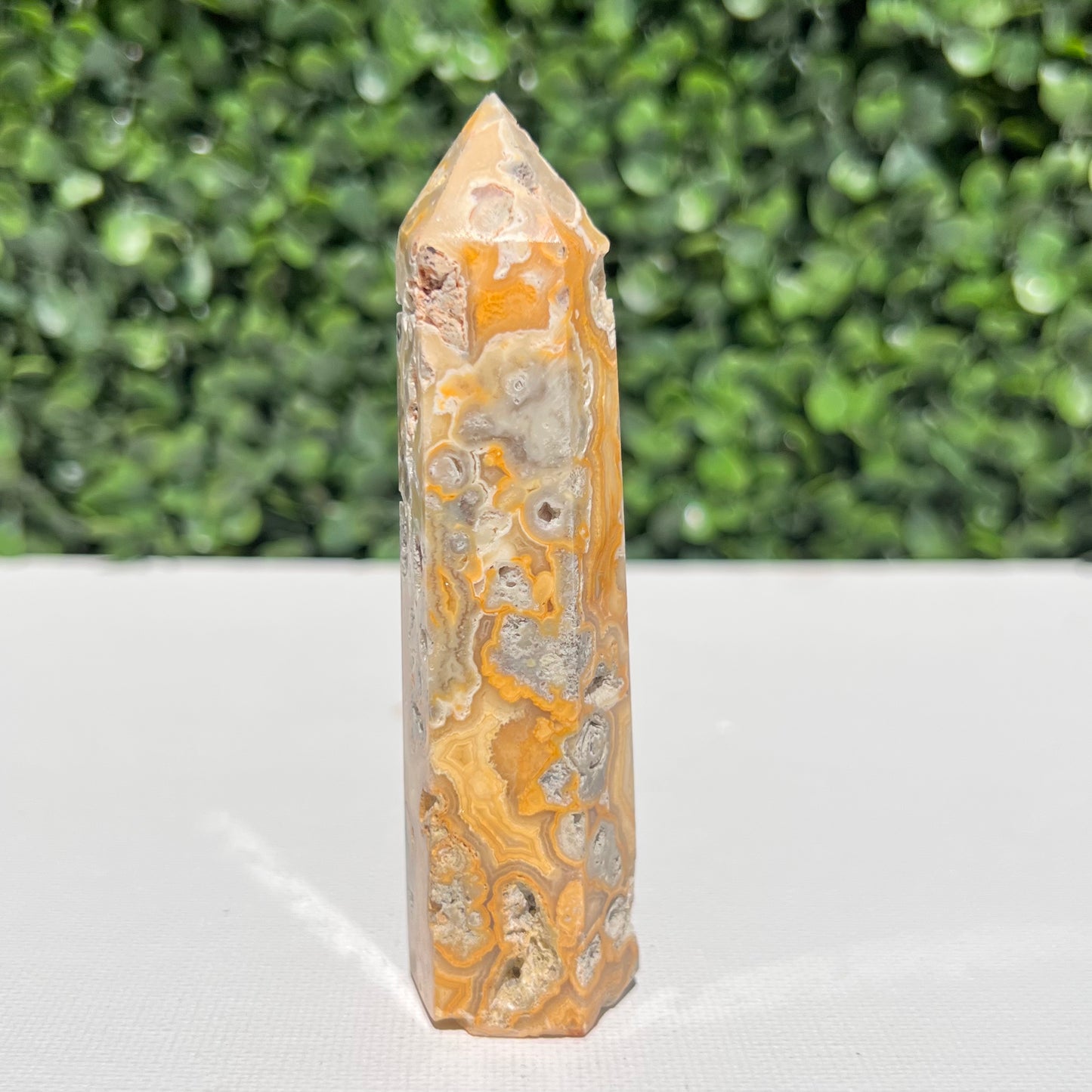 Crazy Lace Agate Point