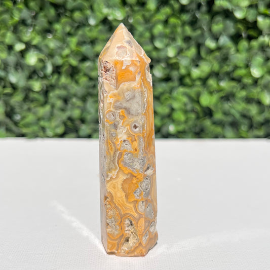 Crazy Lace Agate Point