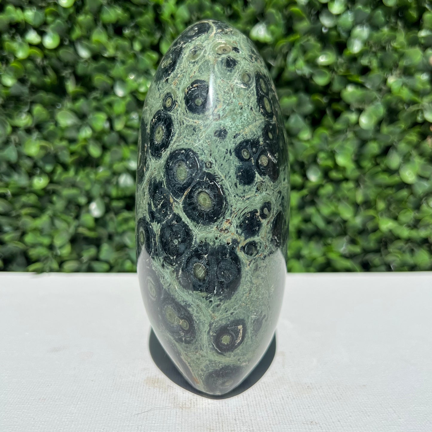 Kambaba Jasper Free Form