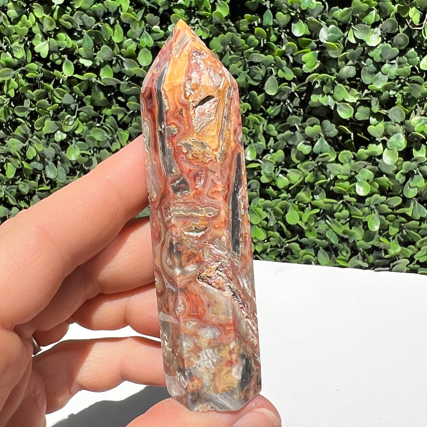 Crazy Lace Agate Point