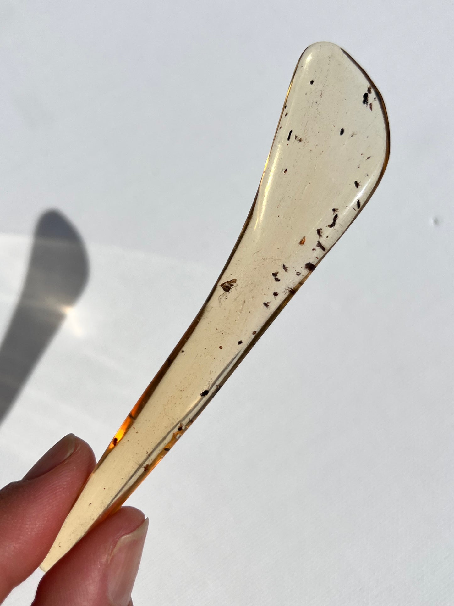 COPAL AMBER RARE SPECIMEN