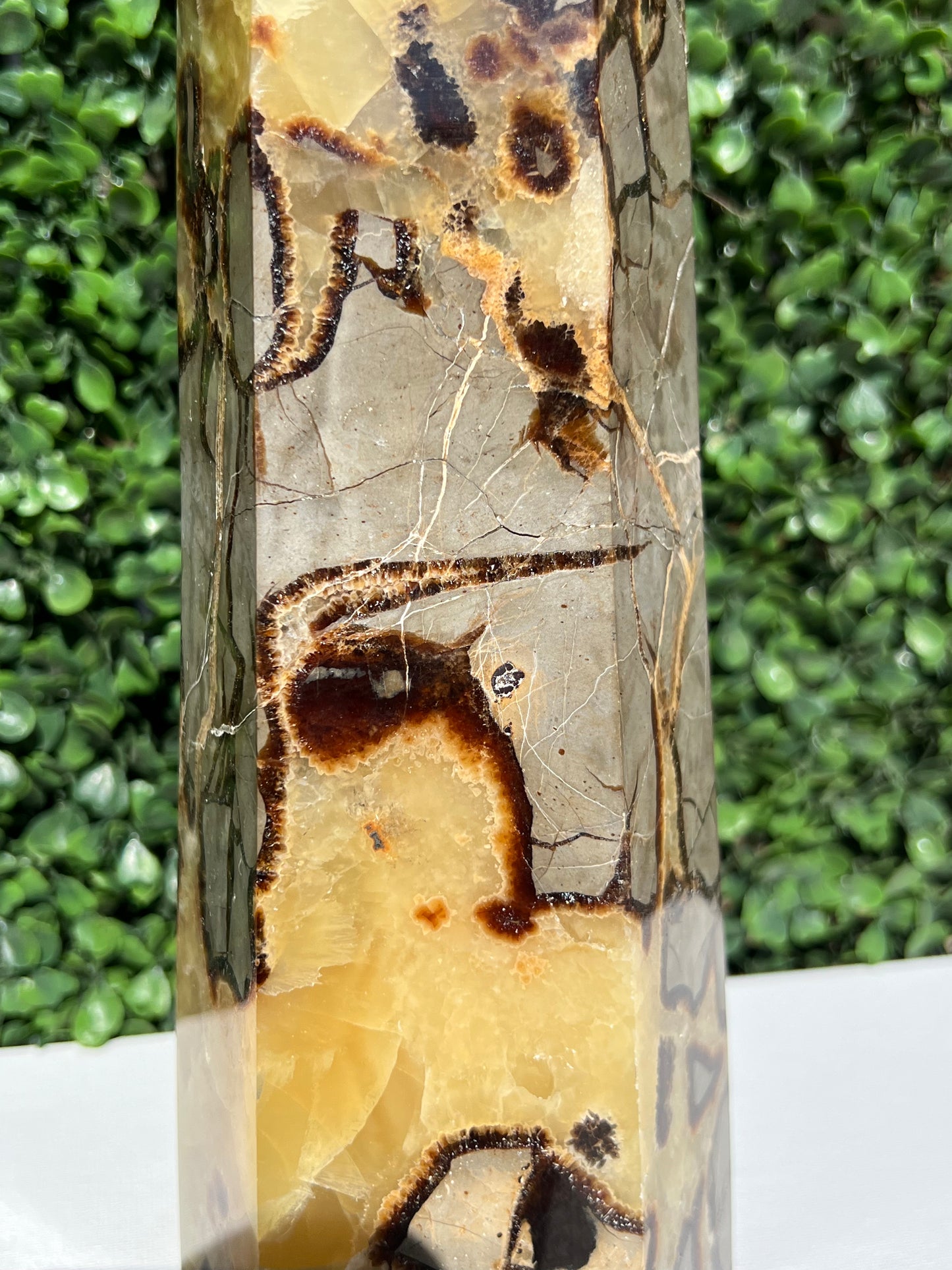 Septarian Generator XXL