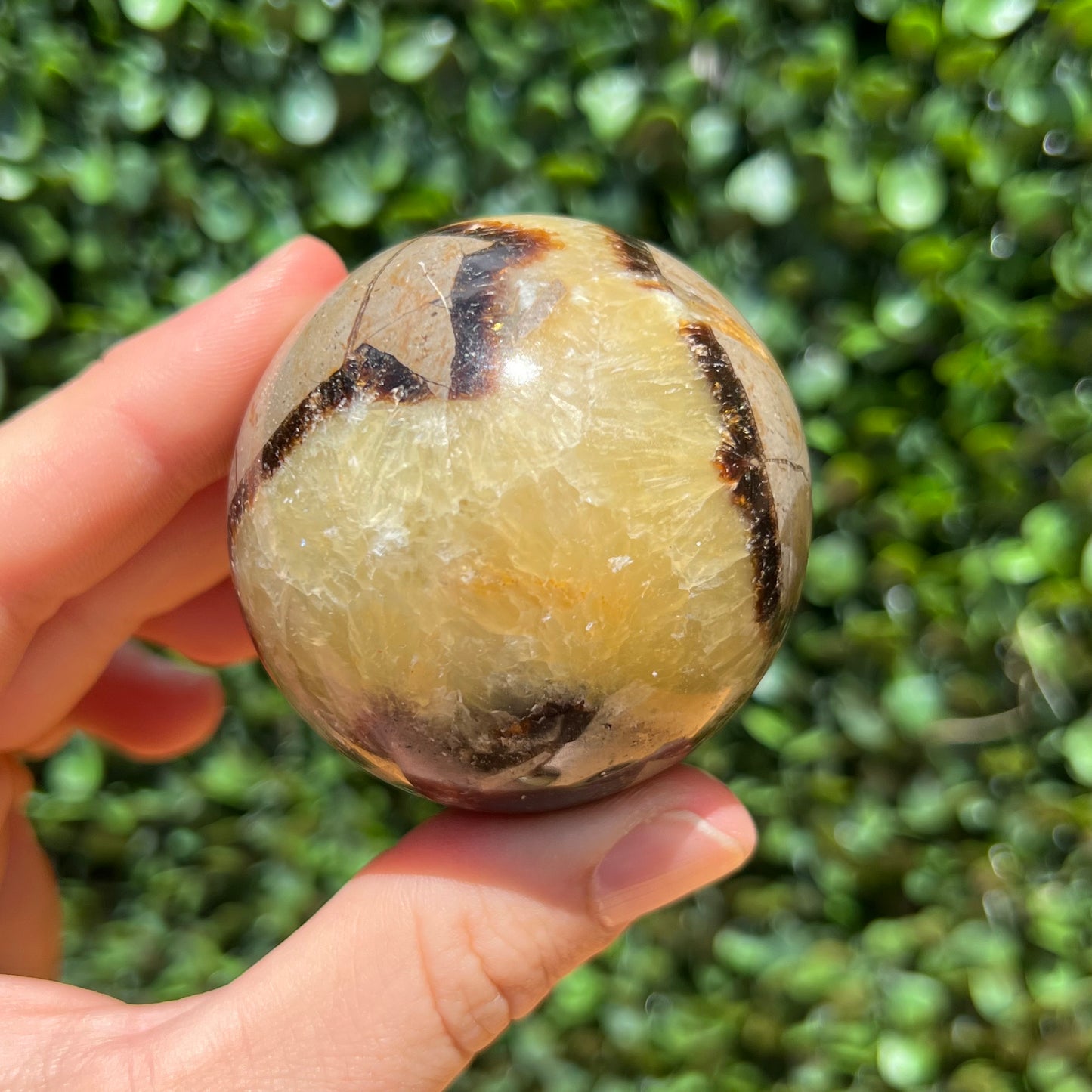 Septarian Yellow Calcite Sphere’s