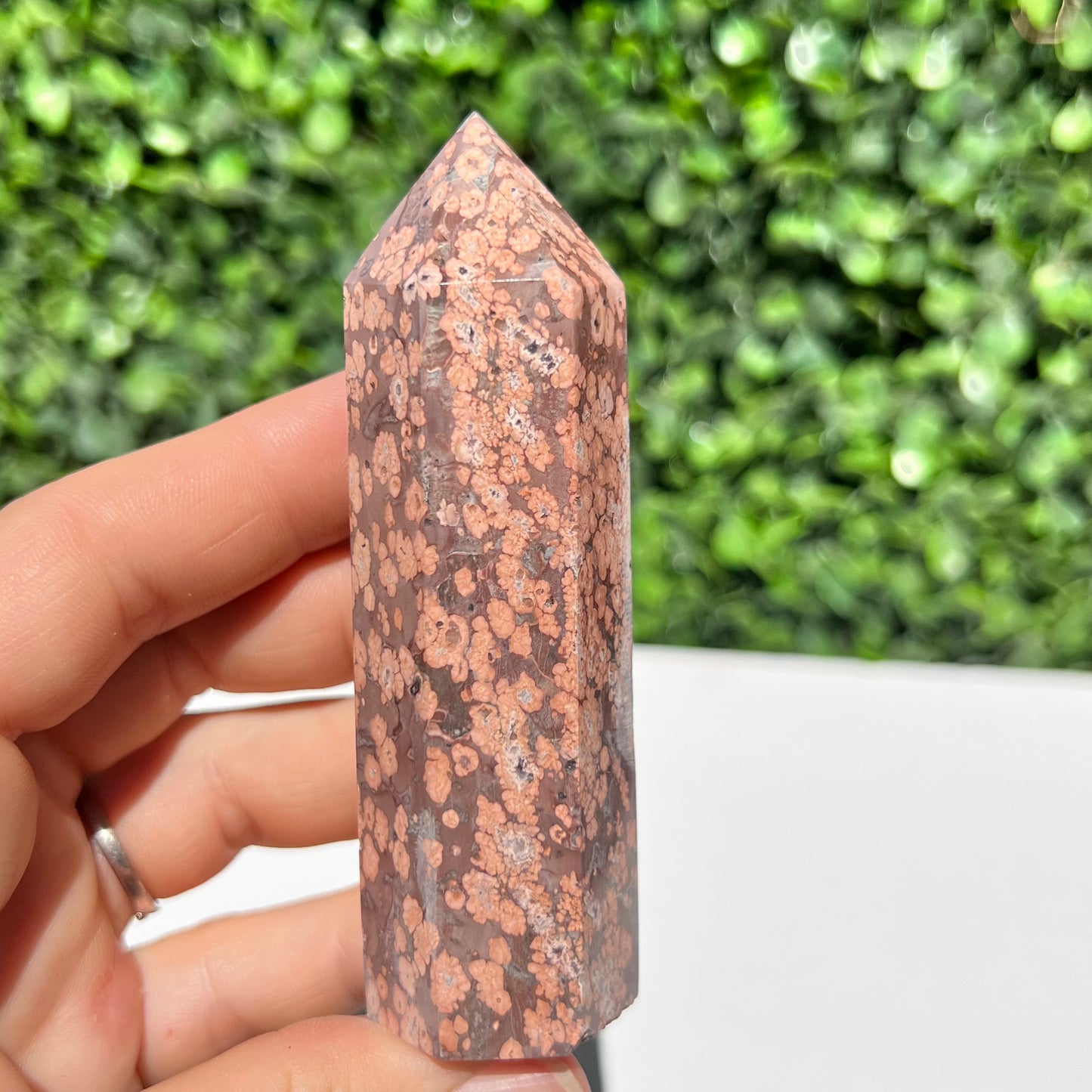 Leopard Skin Point