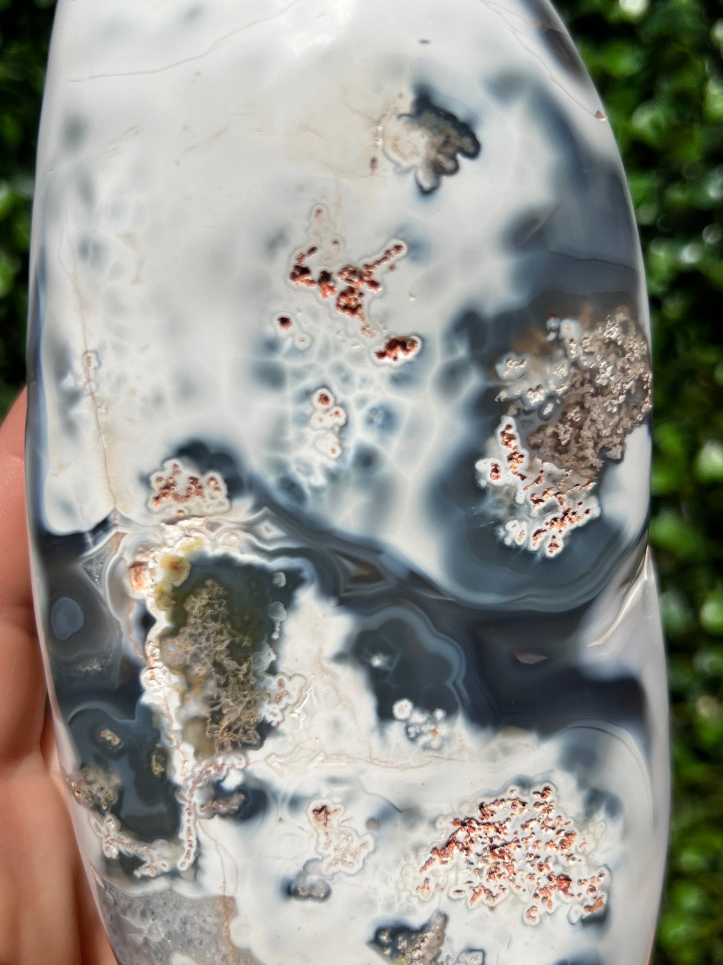 Orca Agate Free Form