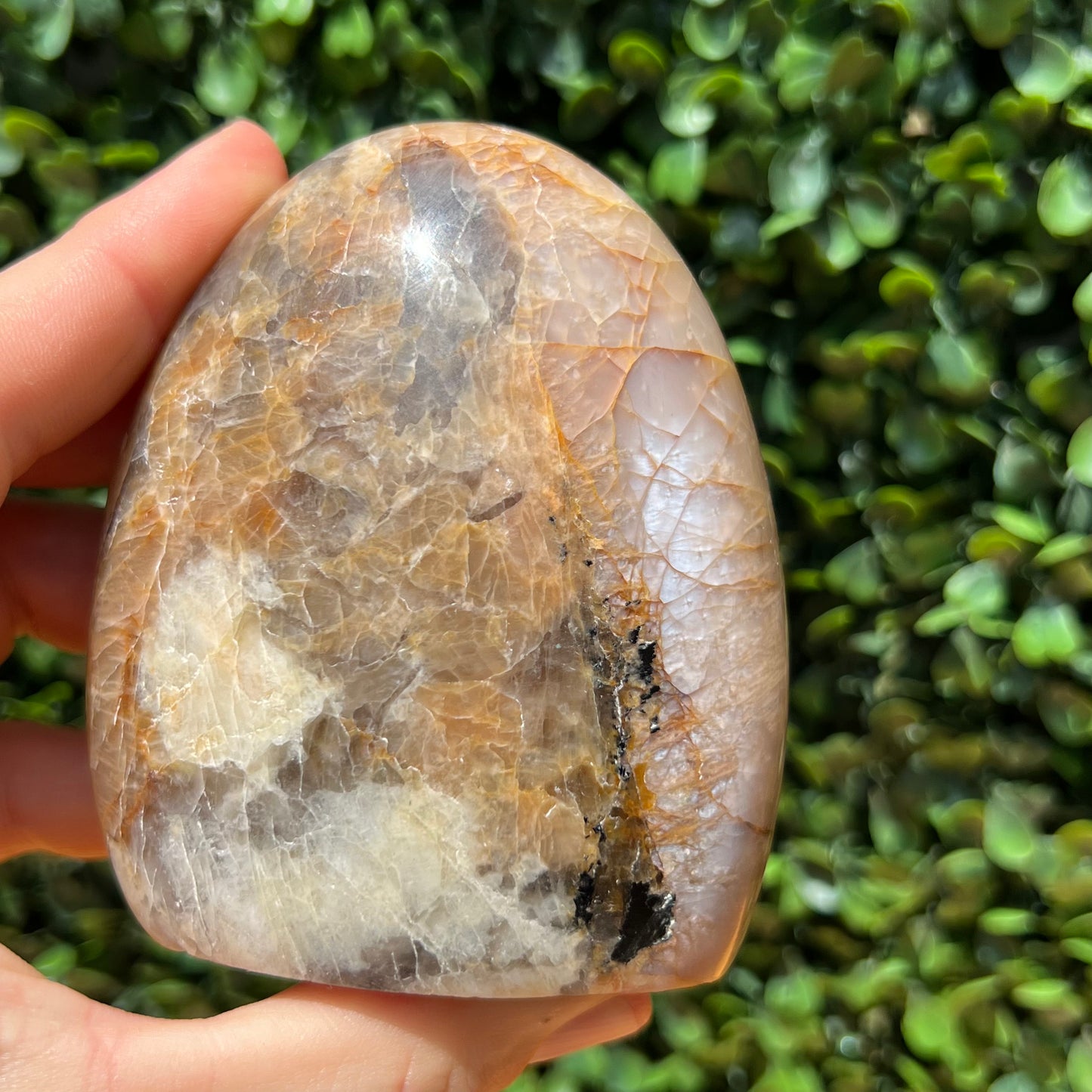 Peach Moonstone Free Form
