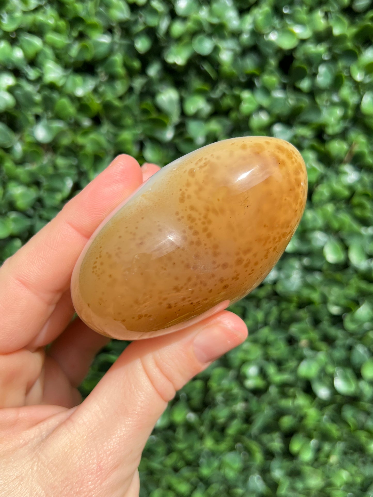 Agate Heart