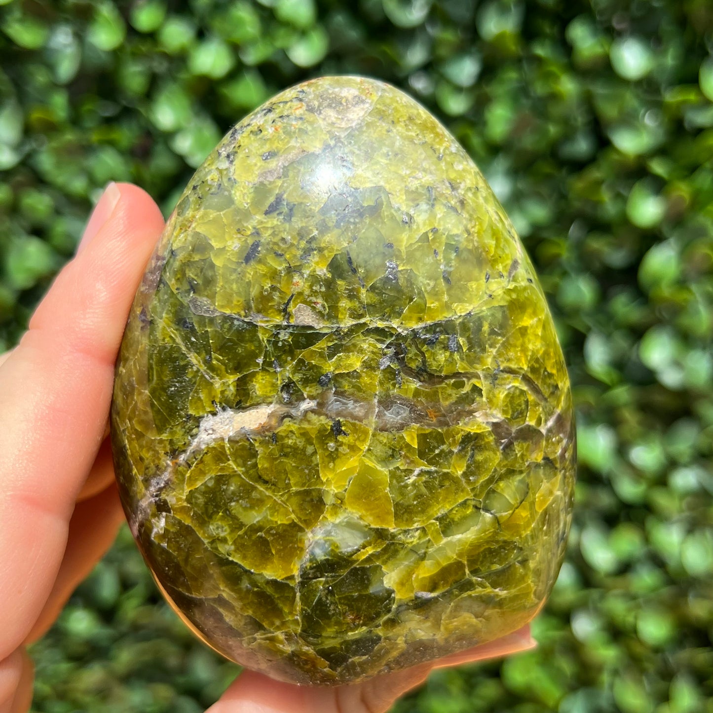 Kiwi Opal Free Form