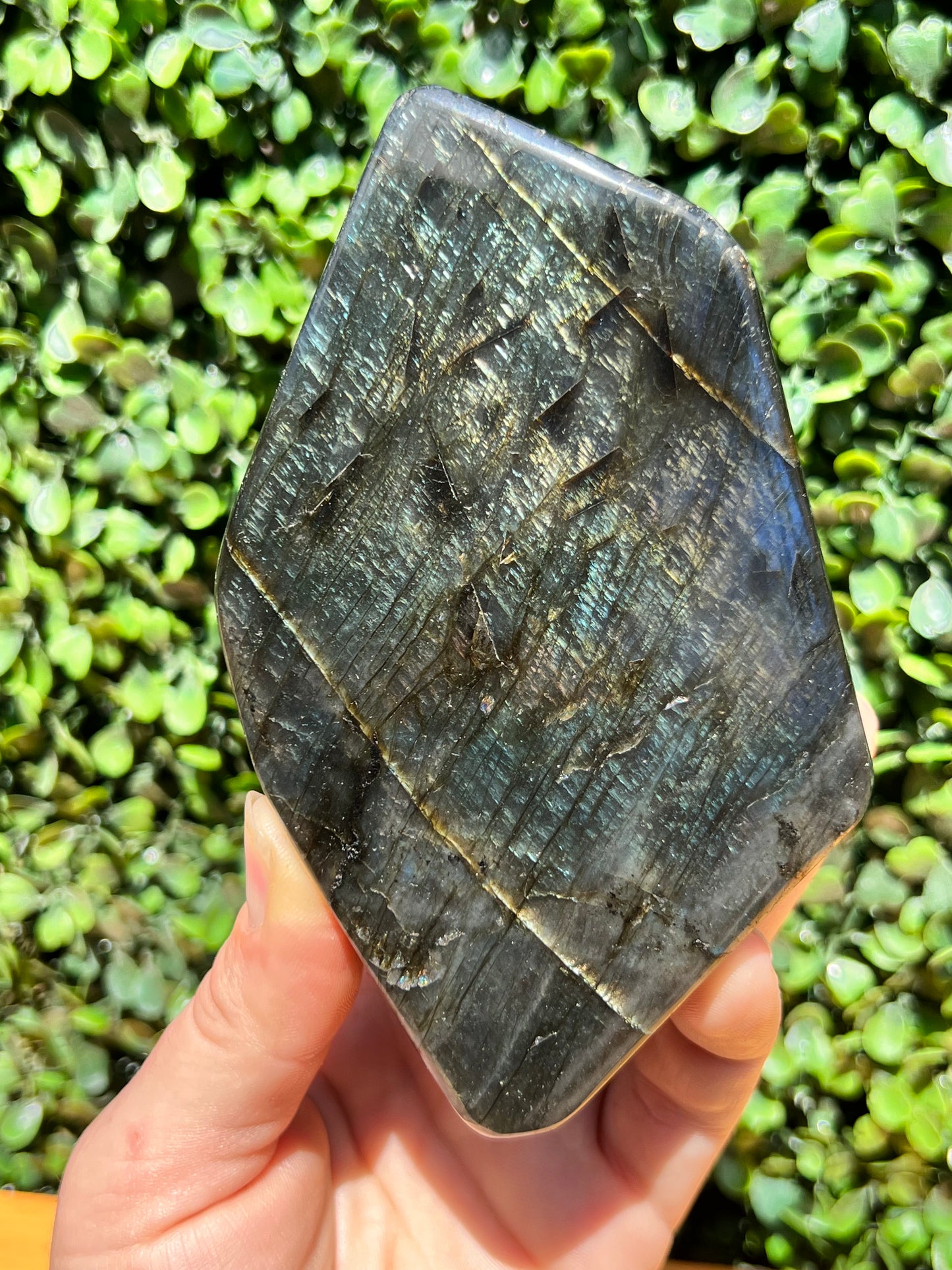 Labradorite Free Form