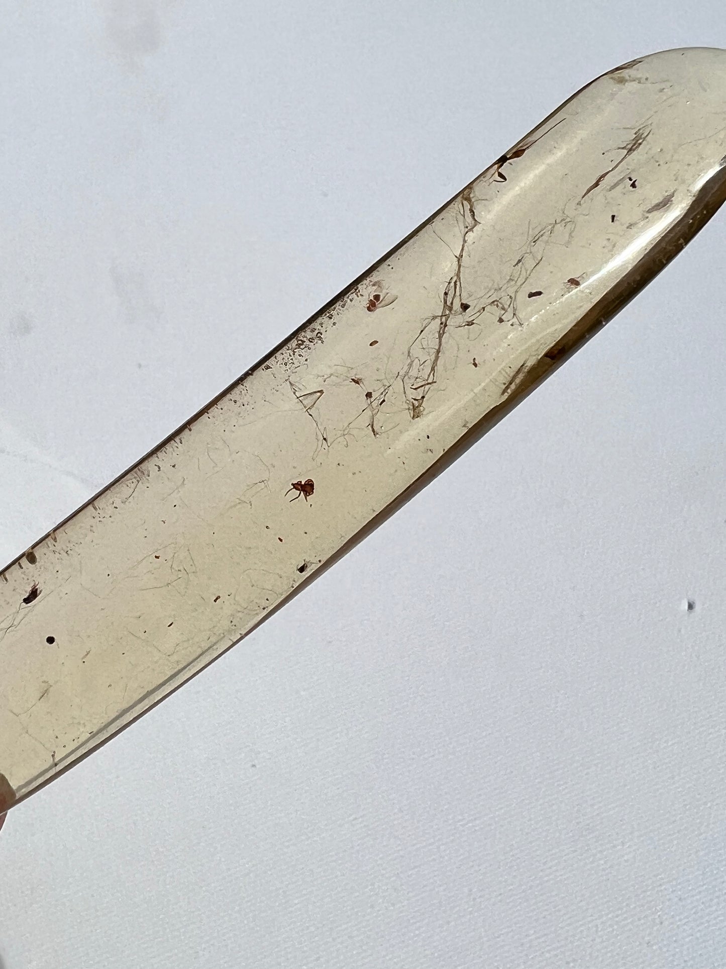 COPAL AMBER RARE SPECIMEN