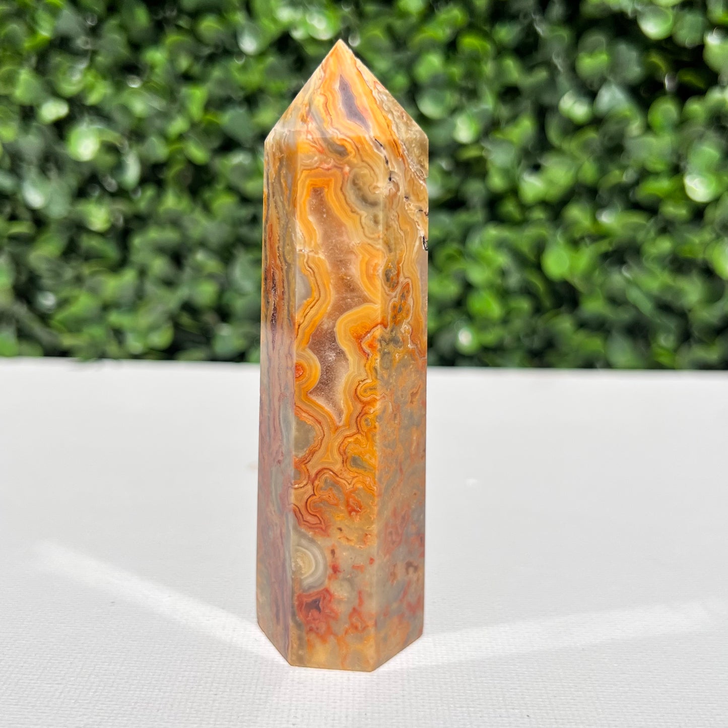 Crazy Lace Agate Point