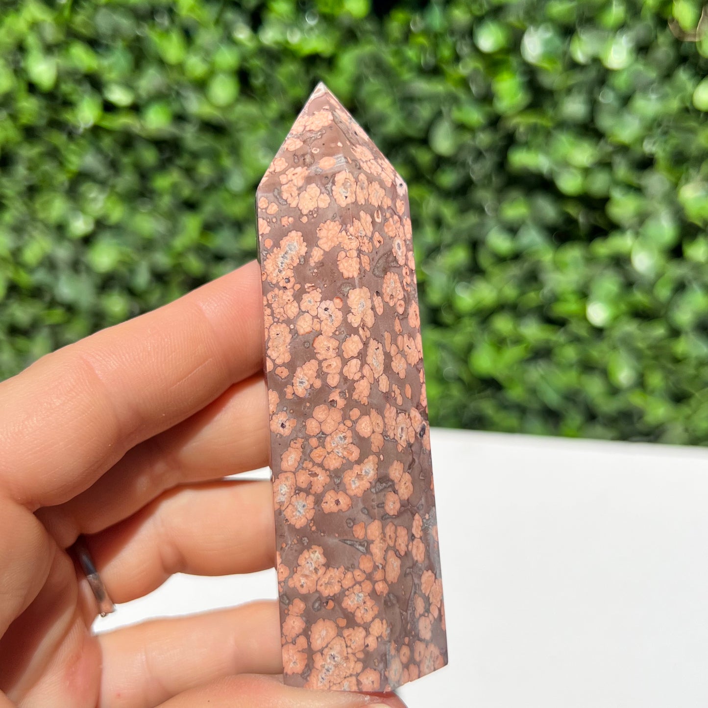 Leopard Skin Point