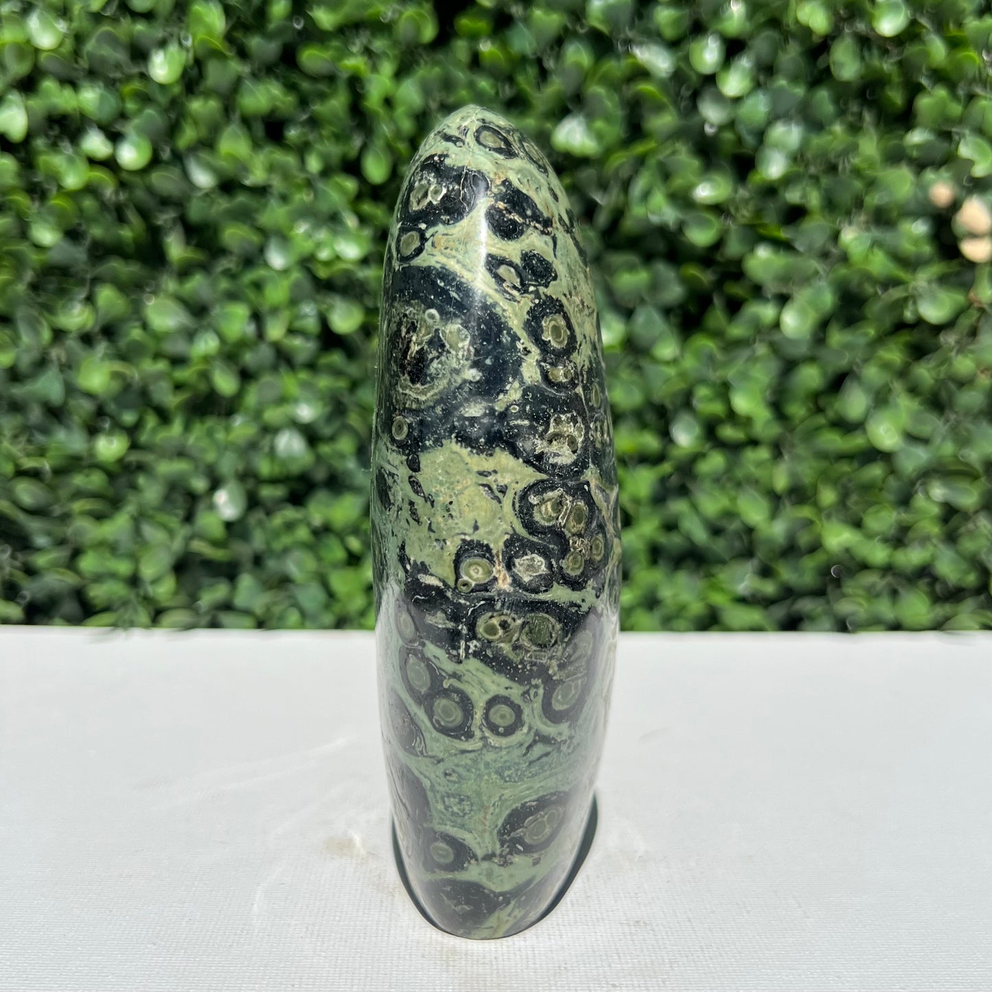 Kambaba Jasper Free Form