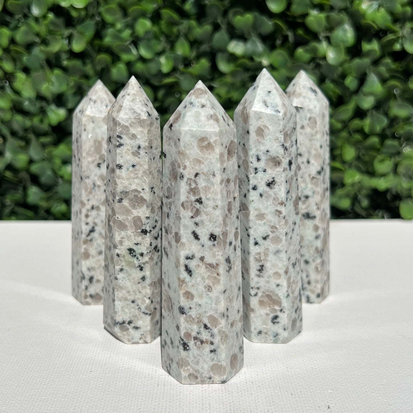 Kiwi Jasper Point’s