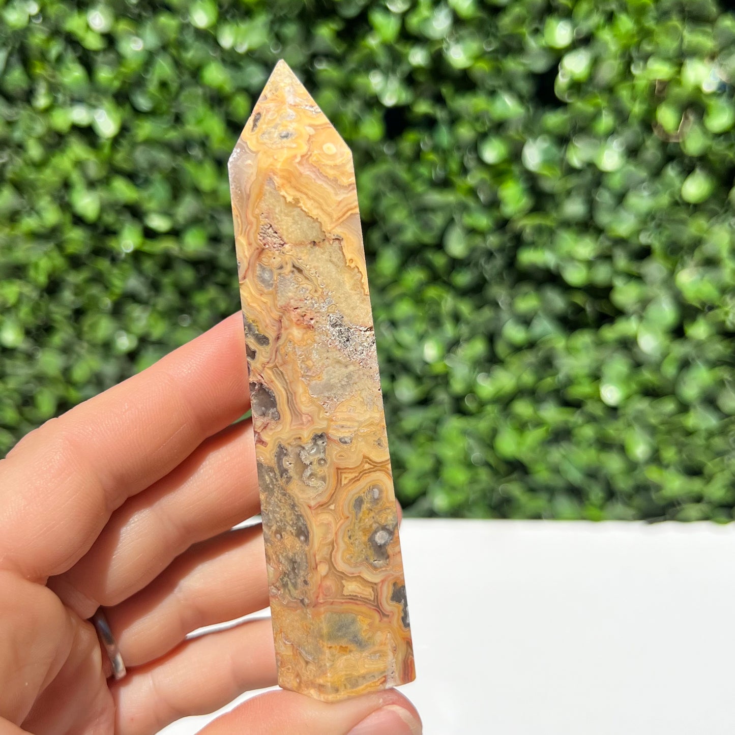 Crazy Lace Agate Point