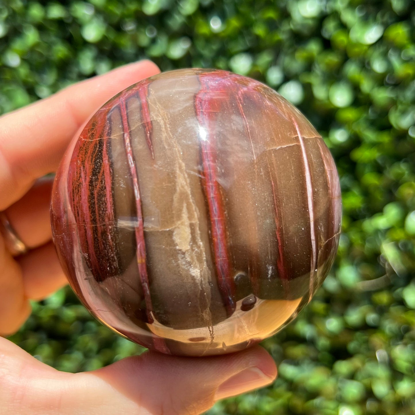 Petrified Wood Sphere