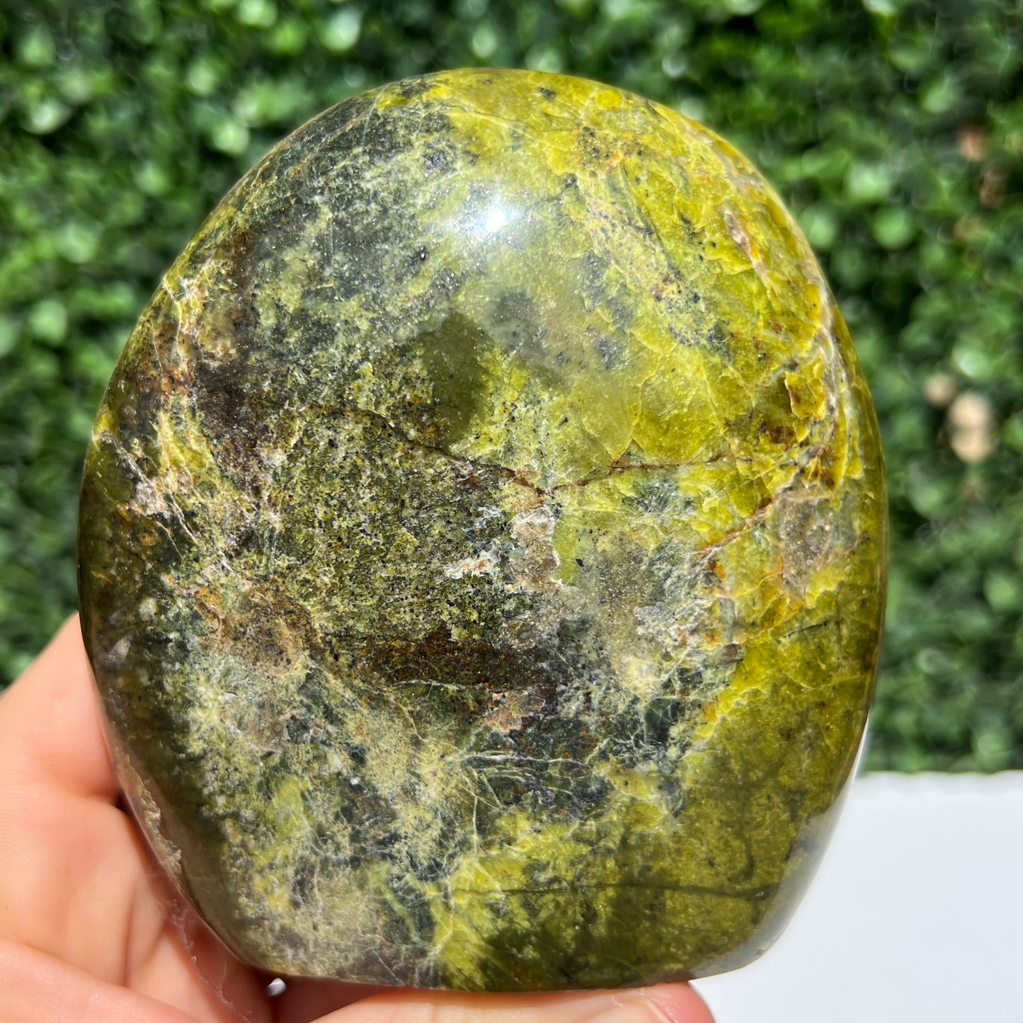 Kiwi Opal Free Form