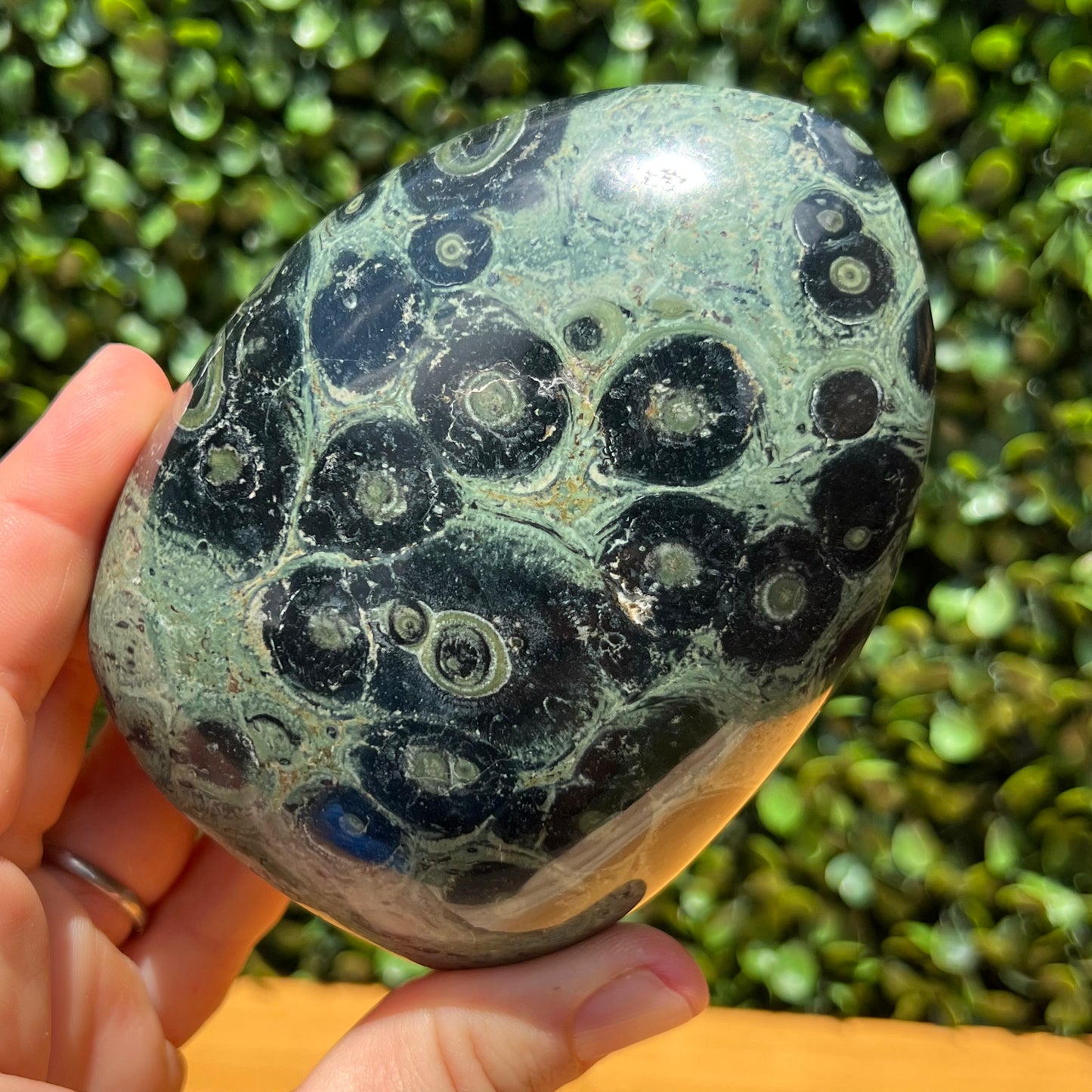 Kambaba Jasper Free Form