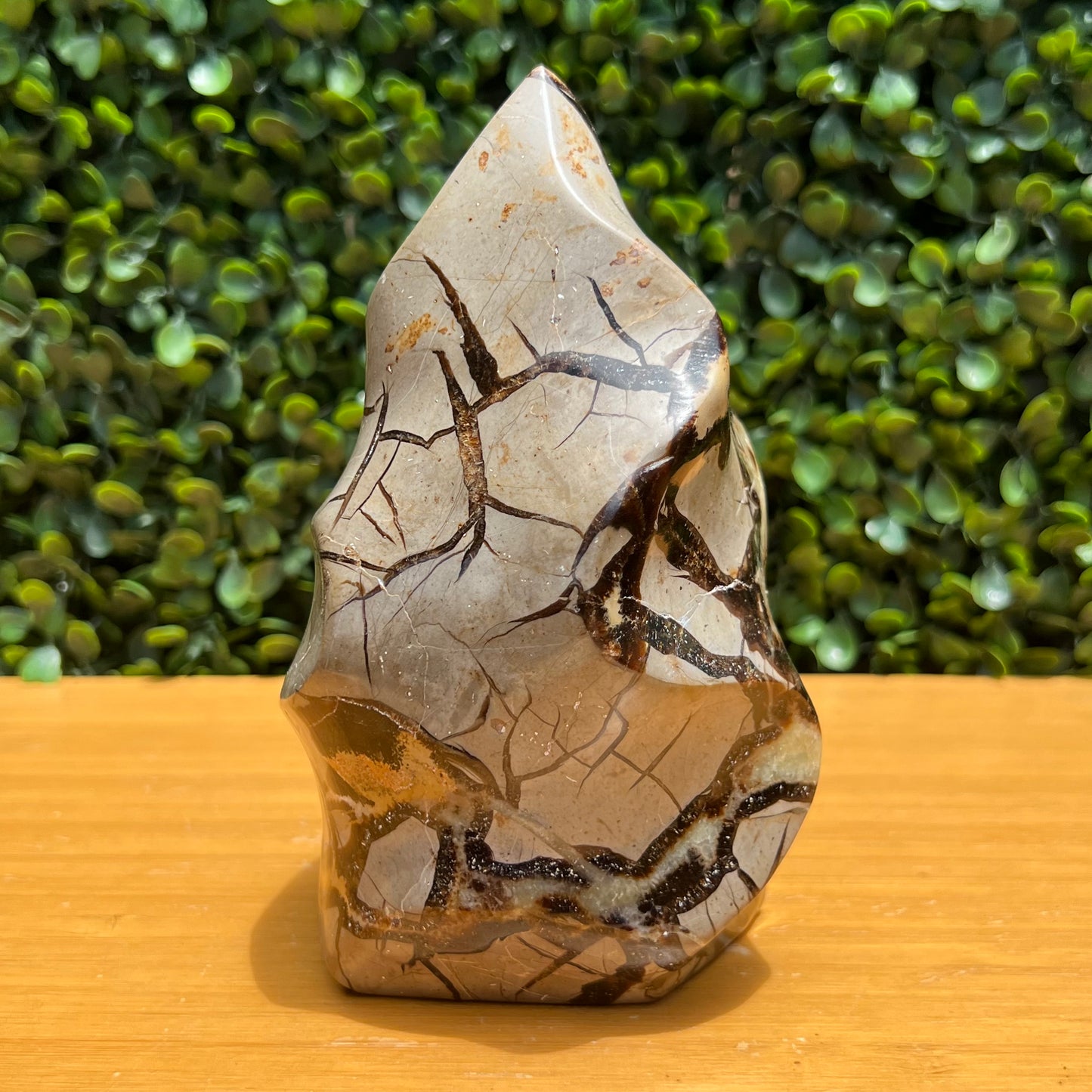 Septarian Yellow Calcite Flame
