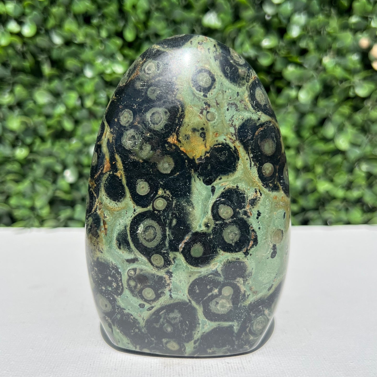 Kambaba Jasper Free Form