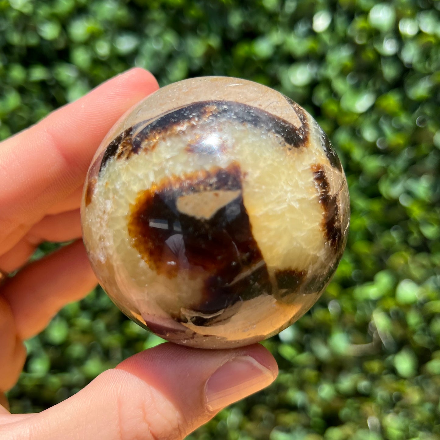 Septarian Yellow Calcite Sphere