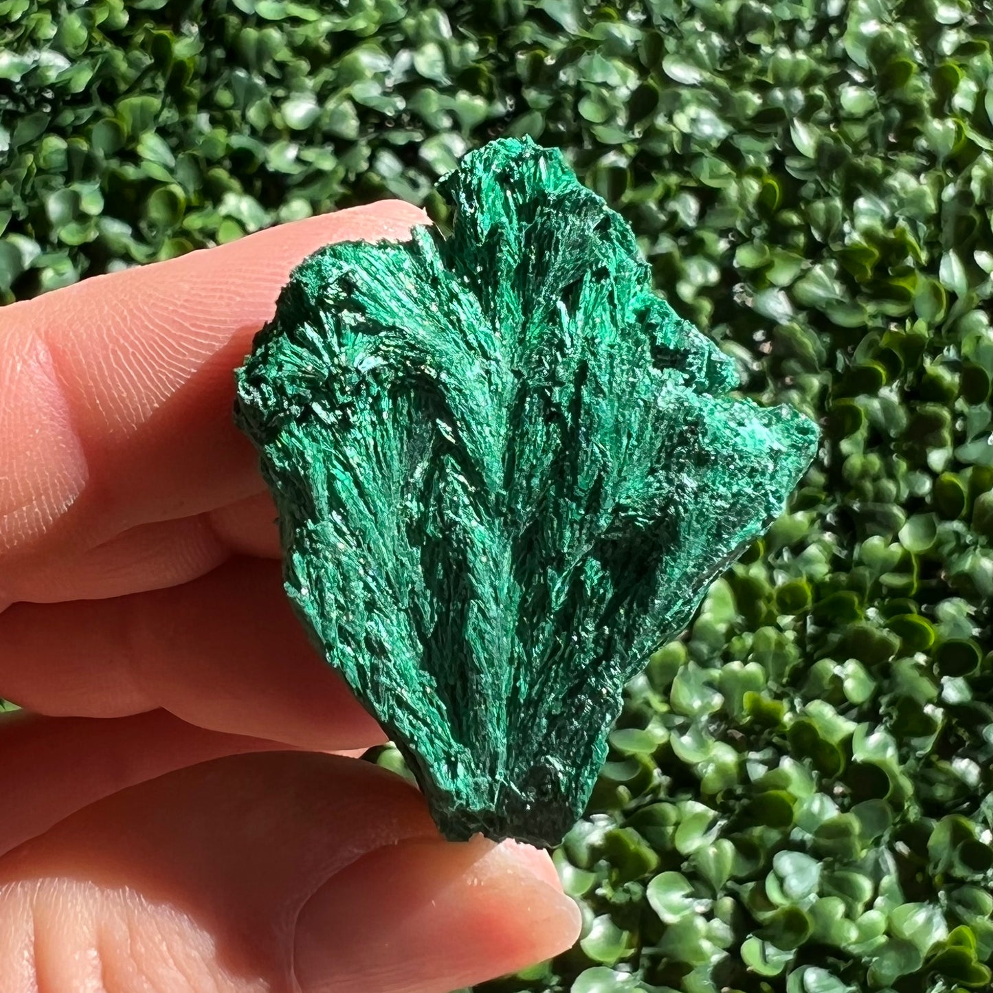 Fibrous Malachite Specimen