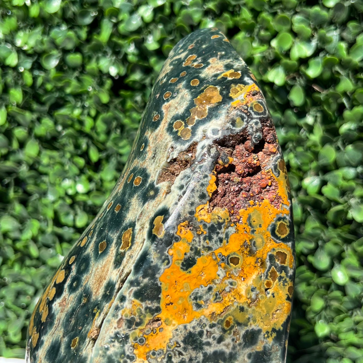 Ocean Jasper Free Form