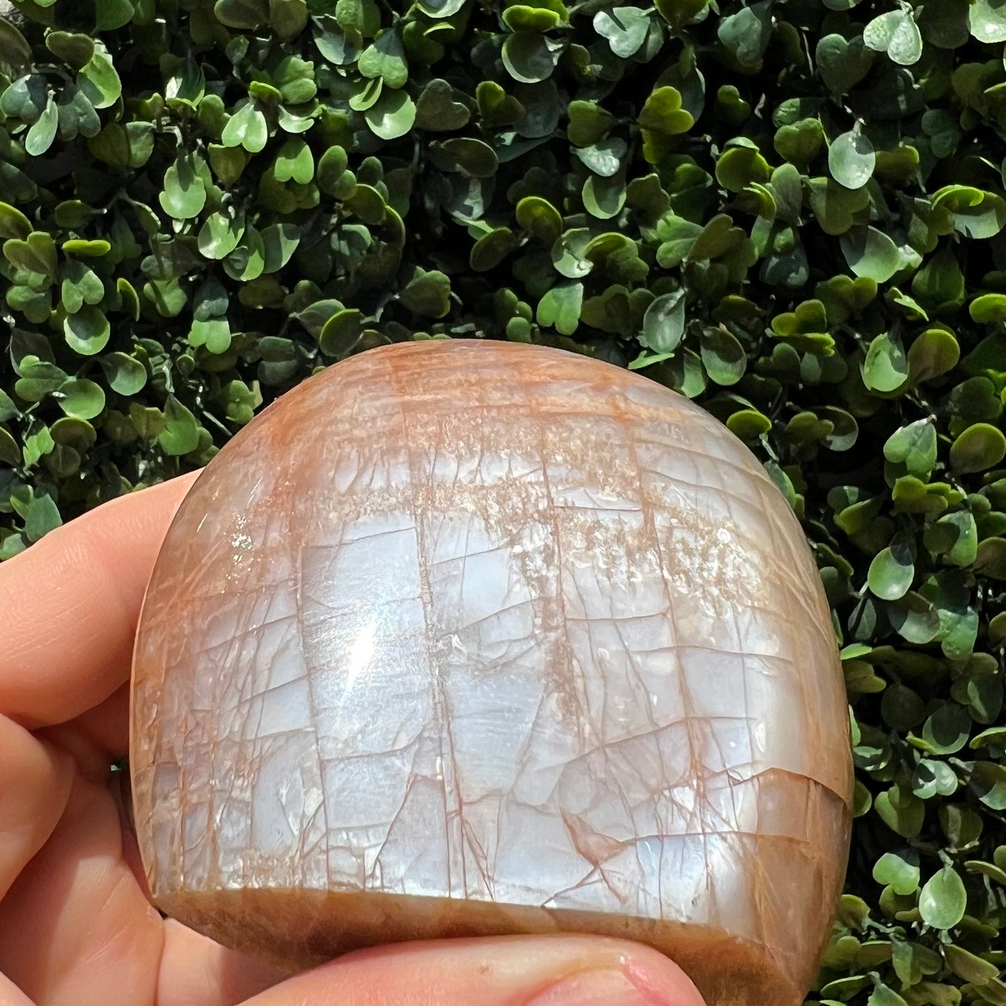 Peach Moonstone Free Form