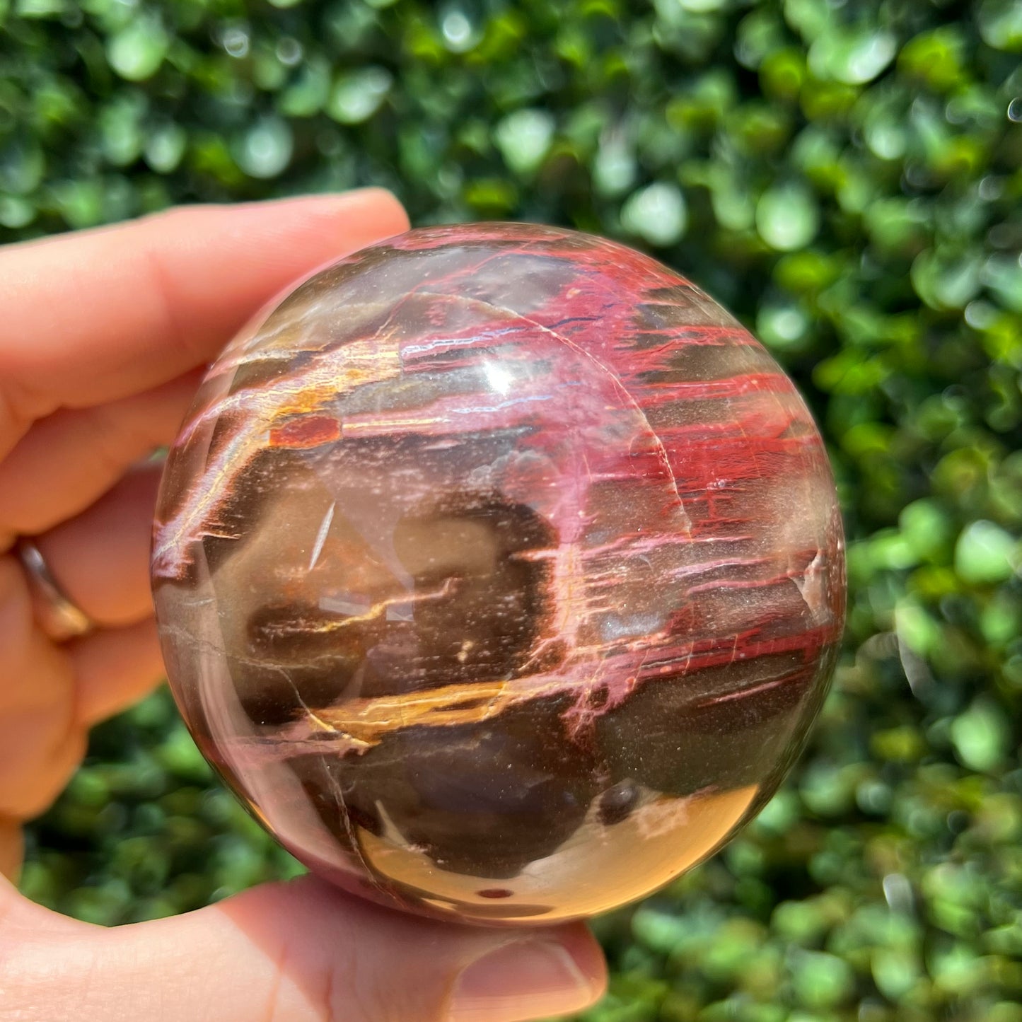 Petrified Wood Sphere