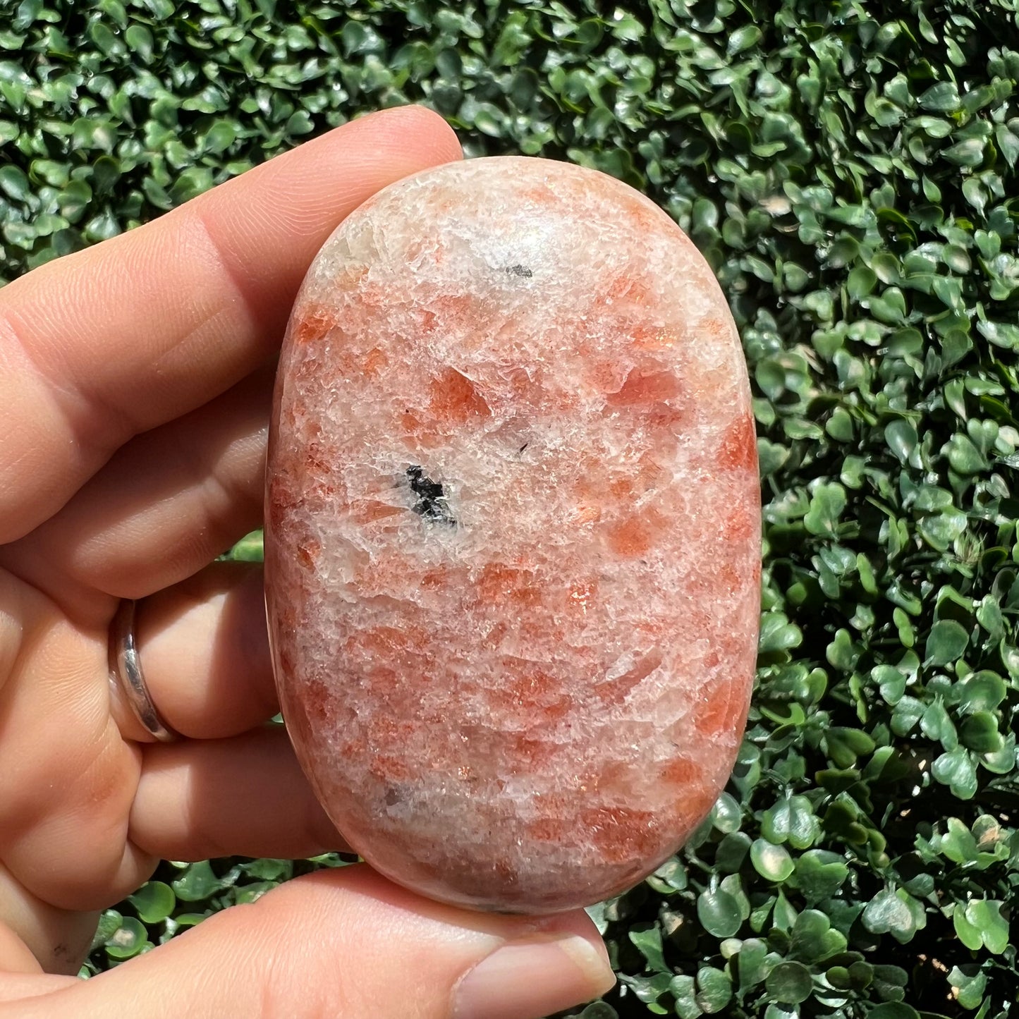 Sunstone Palm Stone