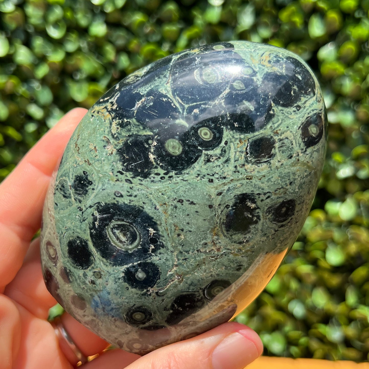Kambaba Jasper Free Form