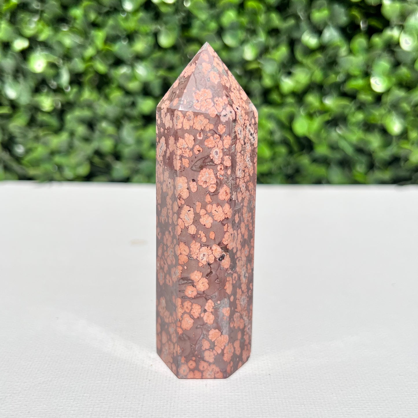 Leopard Skin Point