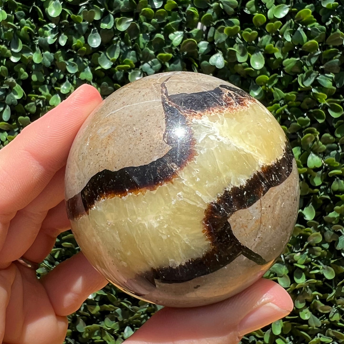Septarian Yellow Calcite Sphere’s