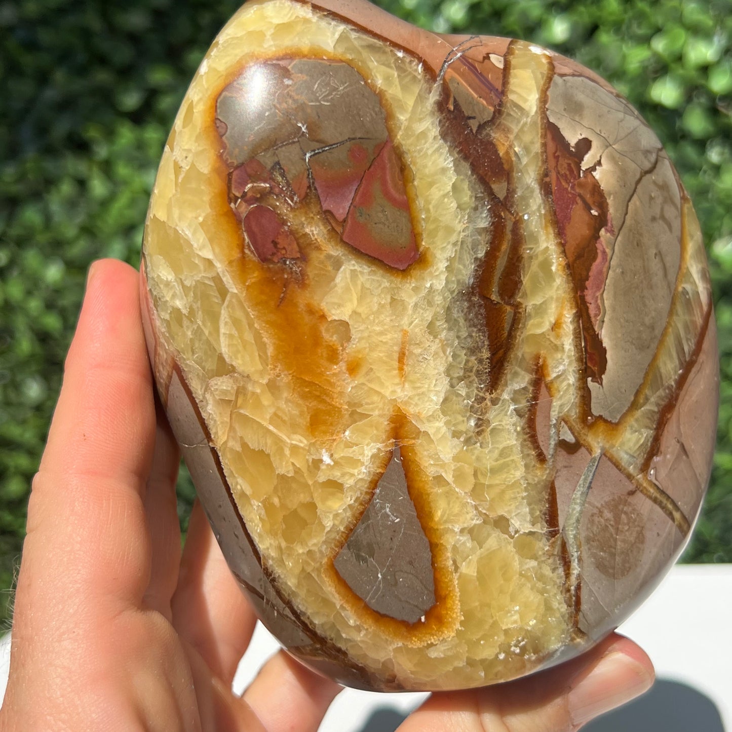Septarian Yellow Calcite Free Form